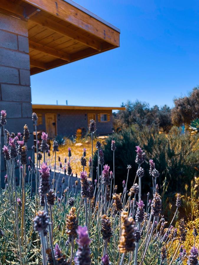 Sn Tony Hotel & Spa Villa de Juarez Luaran gambar