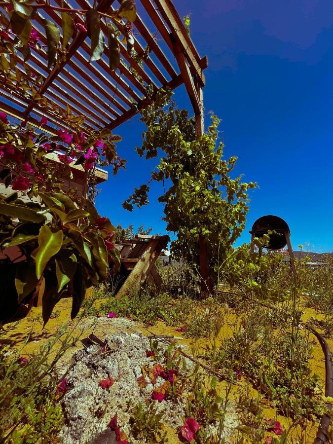 Sn Tony Hotel & Spa Villa de Juarez Luaran gambar